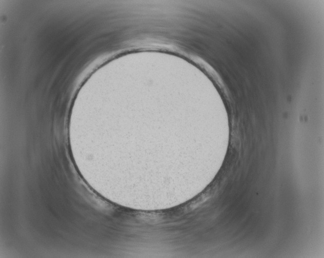 X0000082691191200702232156