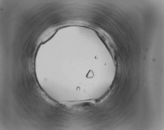 X0000082691192200702232156