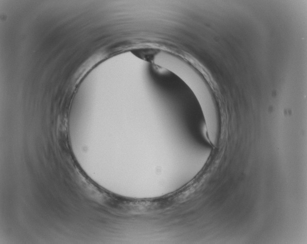 X0000082691193200702232156