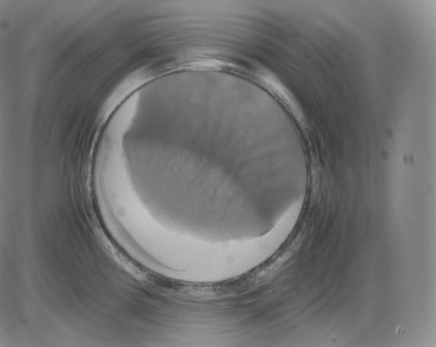 X0000082691194200702232156