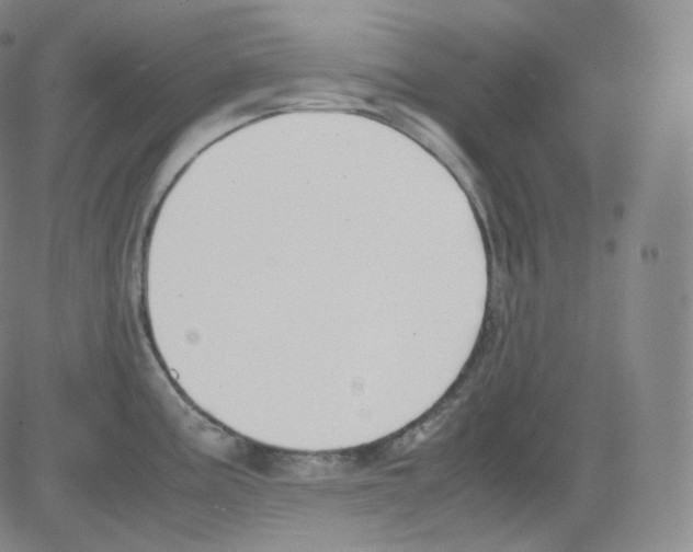 X0000082691195200702232156