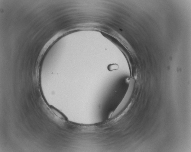 X0000082691196200702232156