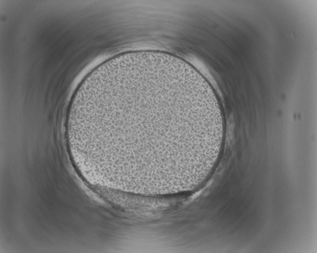 X0000082691197200702232156