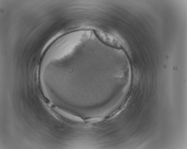 X0000082691198200702232156