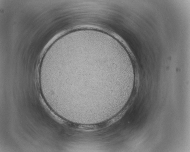 X0000082691199200702232156