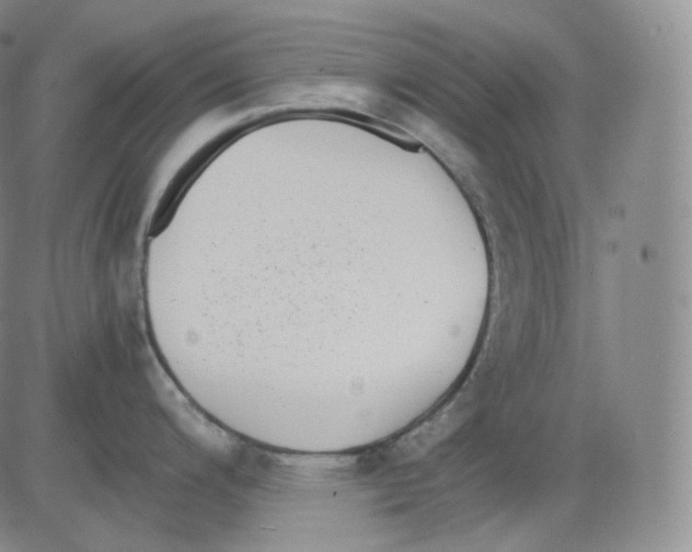 X0000082691200200702232156