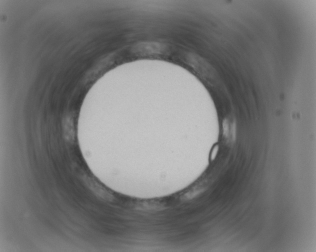 X0000082691203200702232155