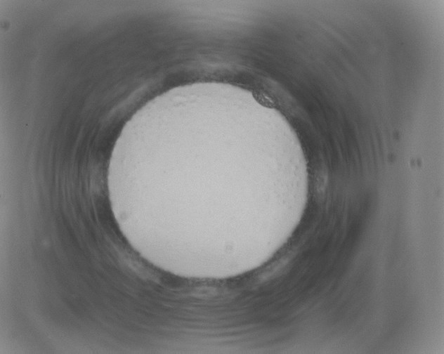 X0000082691204200702232155