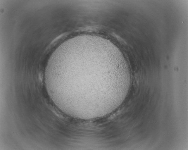 X0000082691206200702232155