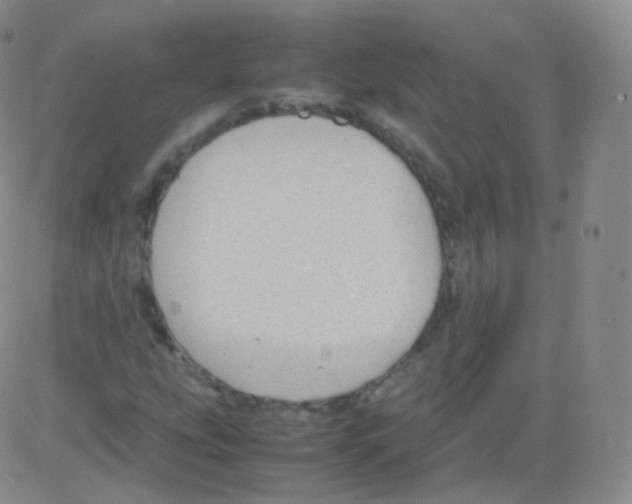 X0000082691207200702232155