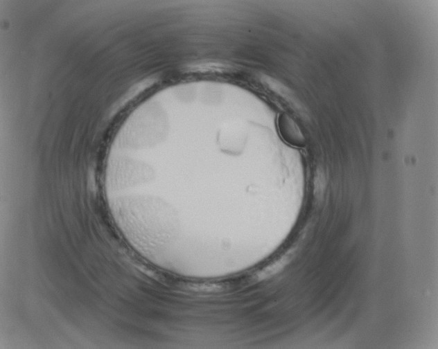 X0000082691209200702232155