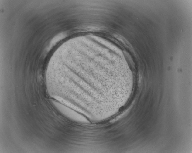 X0000082691210200702232155