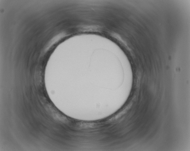 X0000082691211200702232155