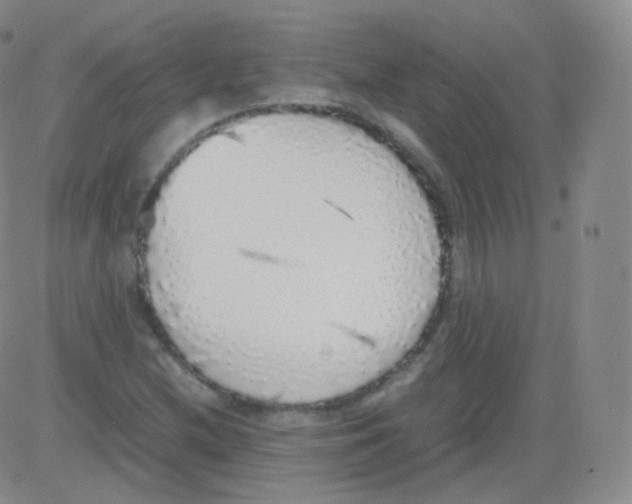 X0000082691212200702232155