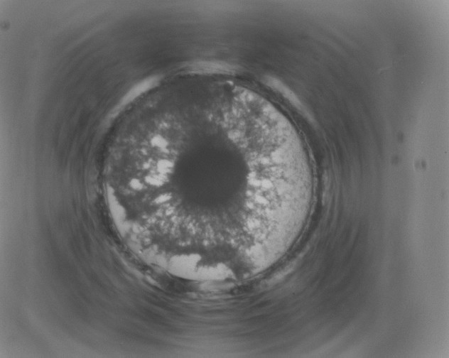 X0000082691213200702232155