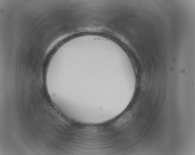 X0000082691214200702232155