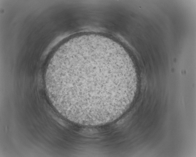 X0000082691215200702232155