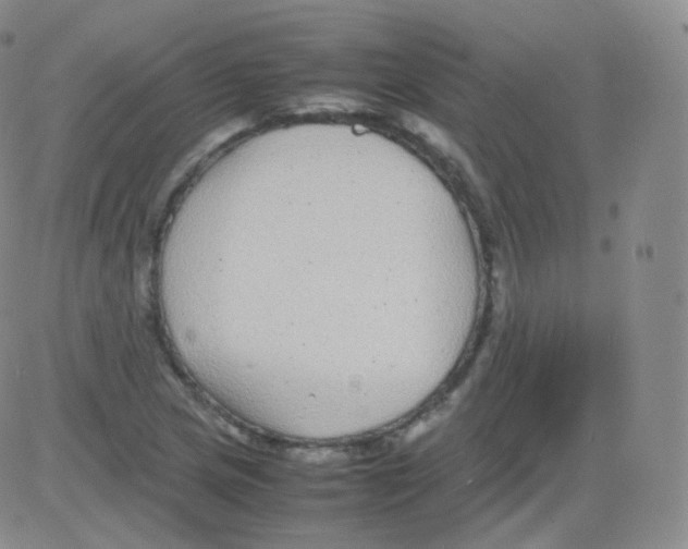 X0000082691217200702232155