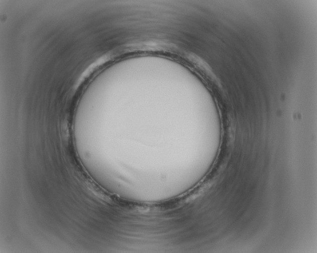 X0000082691218200702232155