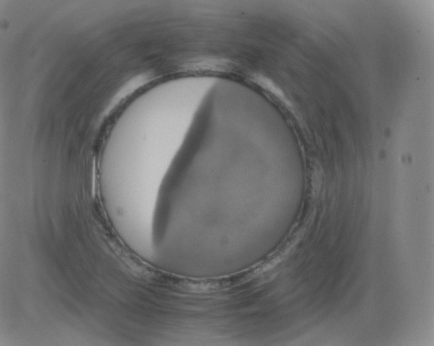 X0000082691219200702232155