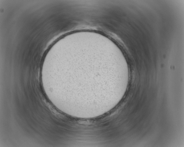 X0000082691220200702232155