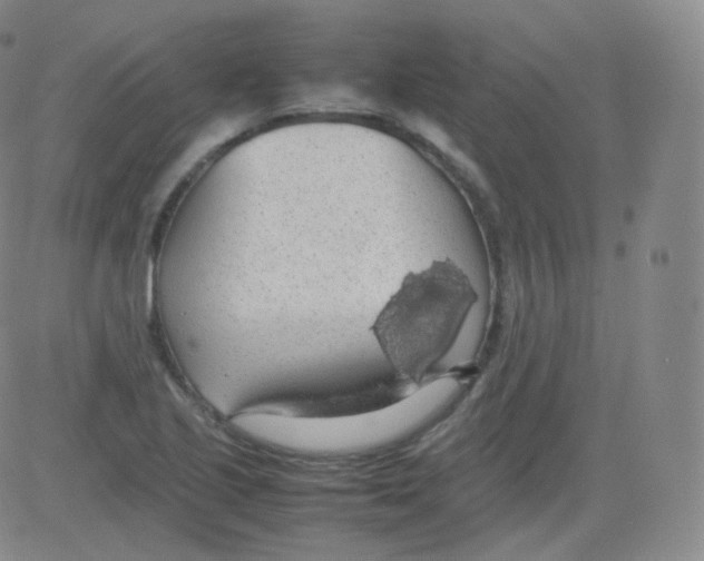 X0000082691221200702232155