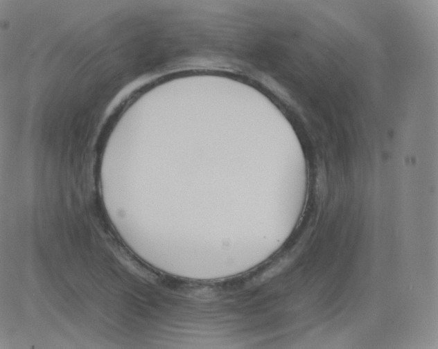 X0000082691222200702232155