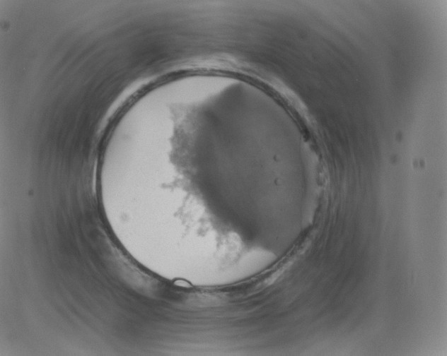 X0000082691224200702232155