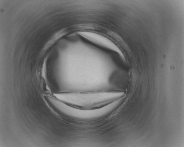 X0000082691225200702232156