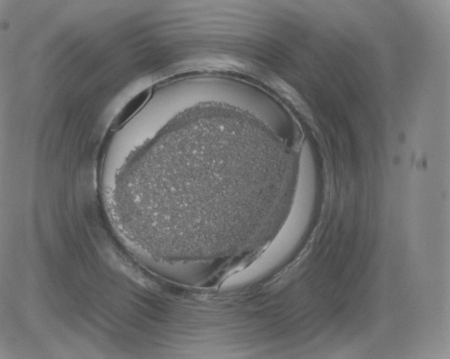 X0000082691226200702232156