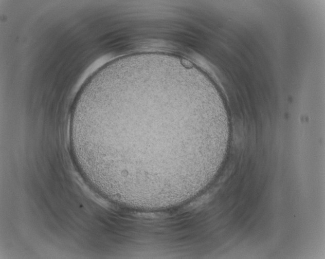 X0000082691227200702232156