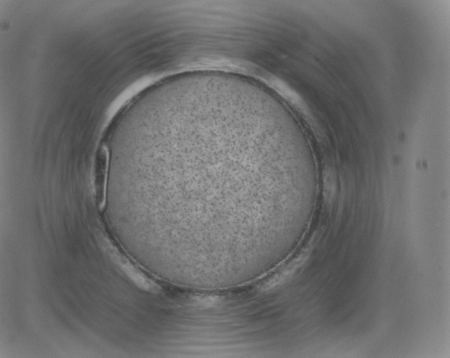 X0000082691230200702232156