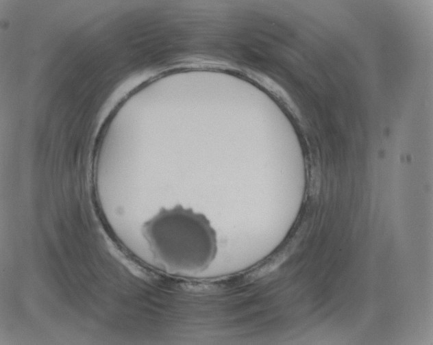 X0000082691231200702232156