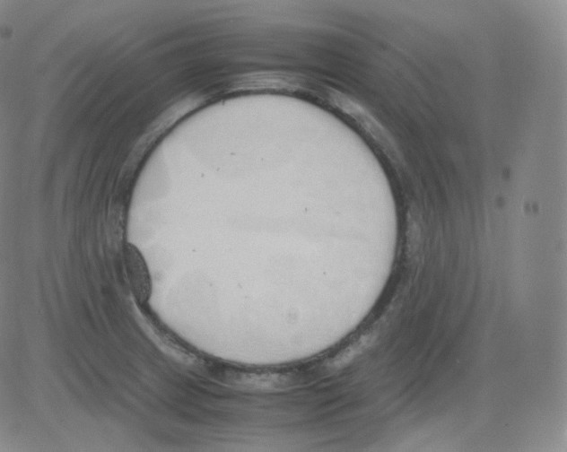 X0000082691233200702232156