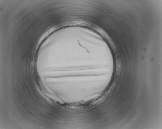 X0000082691234200702232156