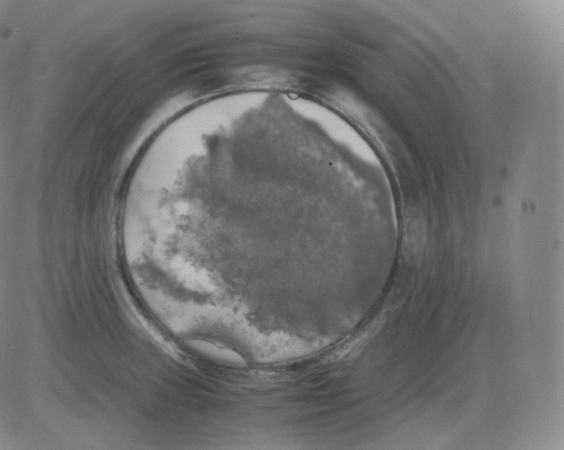 X0000082691235200702232156