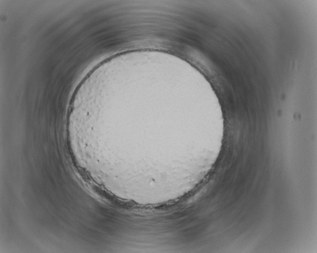 X0000082691236200702232156