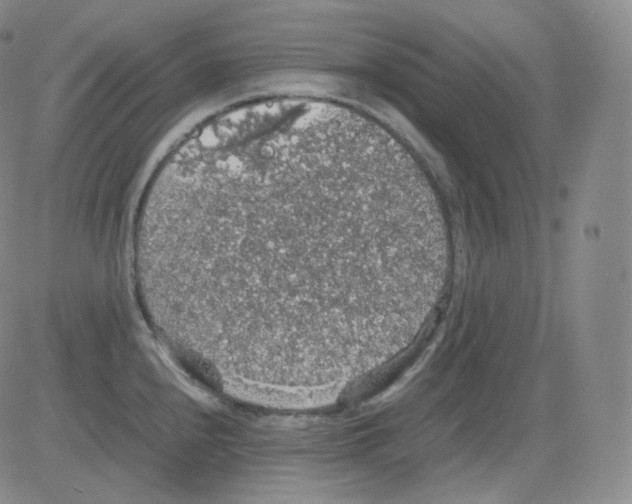 X0000082691240200702232156