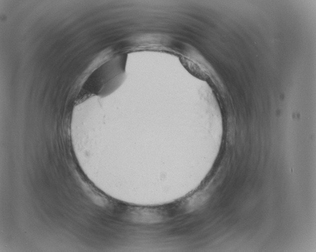 X0000082691241200702232156