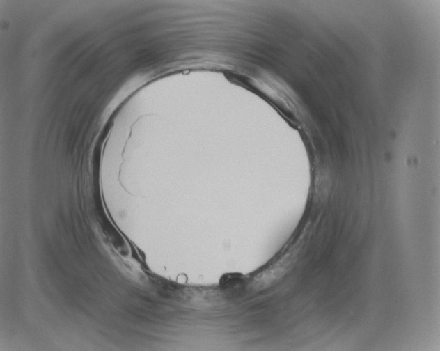 X0000082691242200702232156