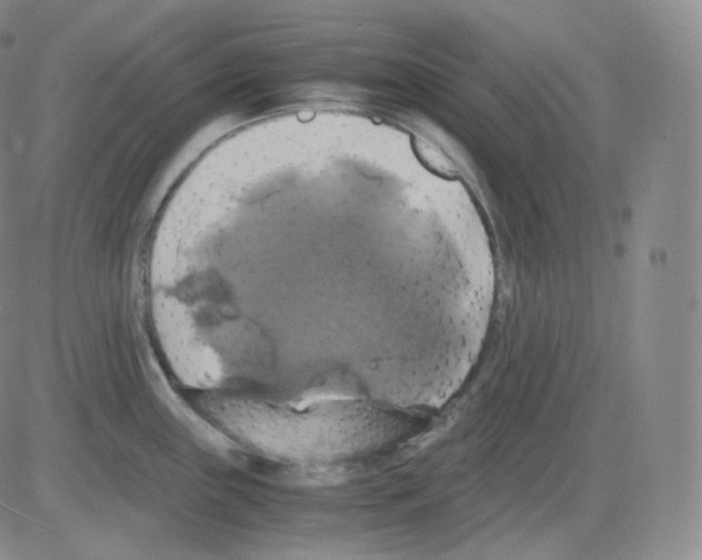 X0000082691243200702232156