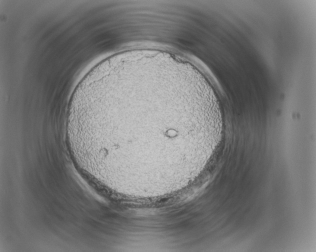 X0000082691244200702232156