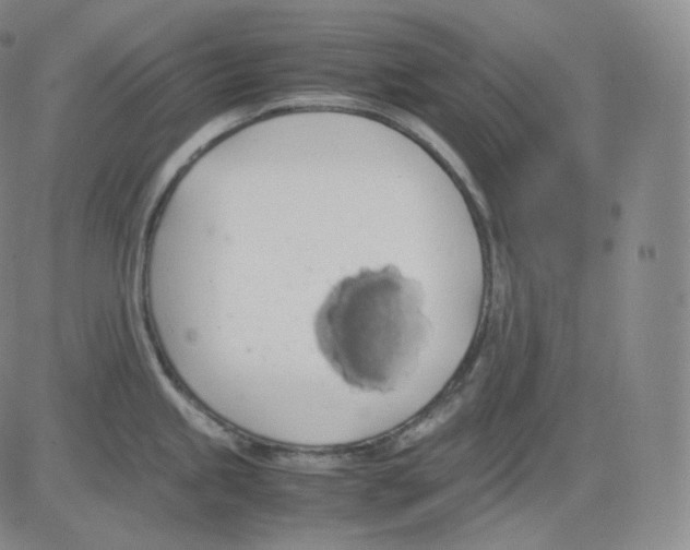 X0000082691245200702232156