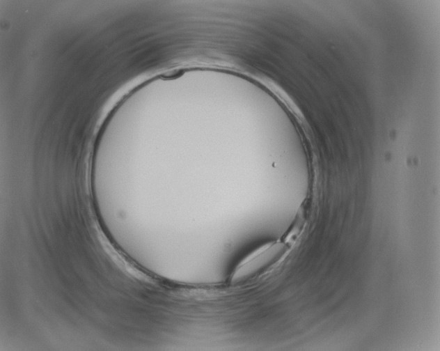 X0000082691246200702232156