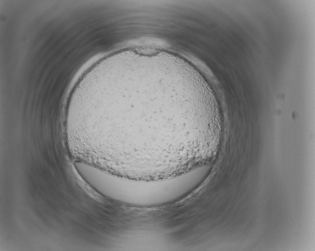 X0000082691248200702232156