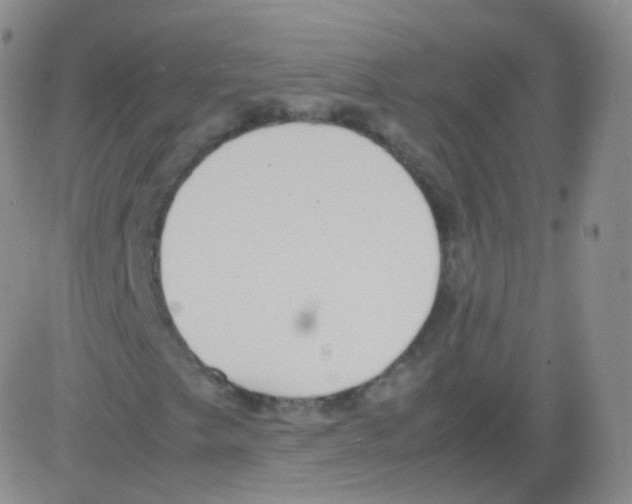 X0000082691249200702232155