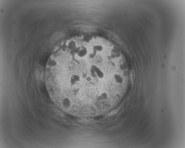 X0000082691251200702232155