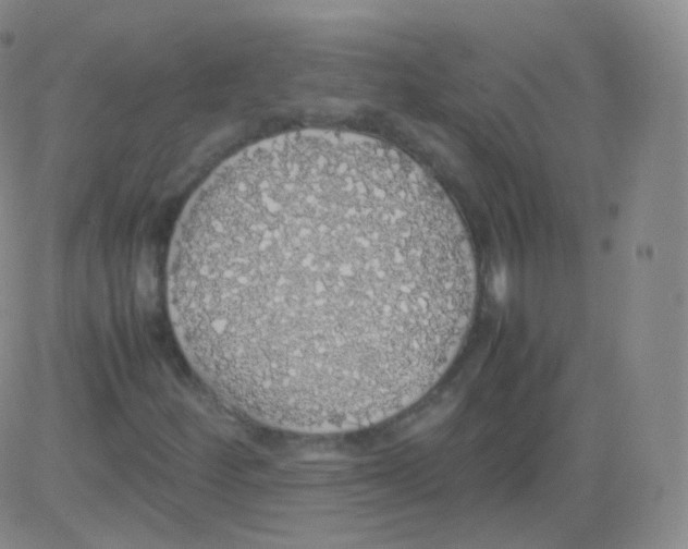 X0000082691252200702232155