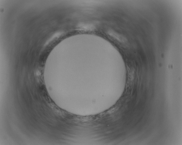 X0000082691254200702232155