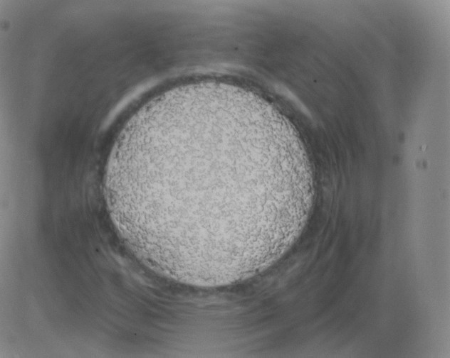 X0000082691256200702232155